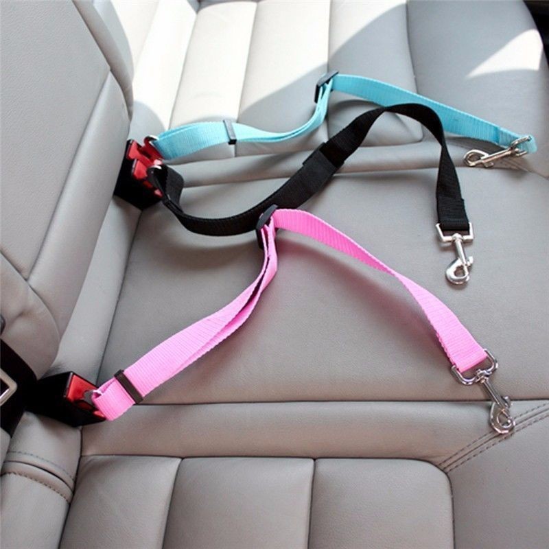 Travel Accessories For Dogs - حزام أمان للقطط والكلاب في السيارة،