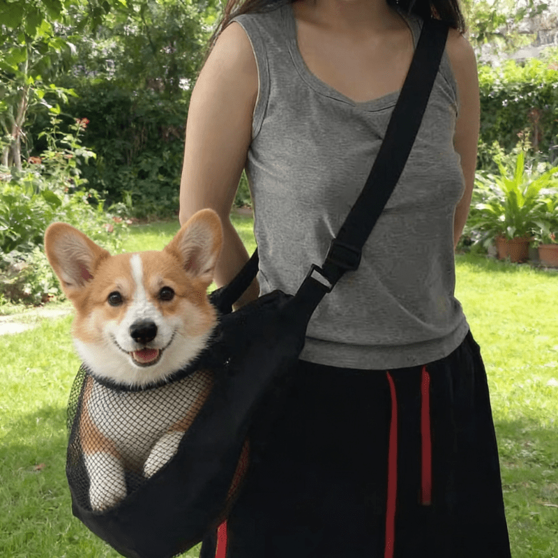 حقيبة حمل كلاب خفيفة الوزن وقا - مراجعة Travel Accessories For Dogs وسعره