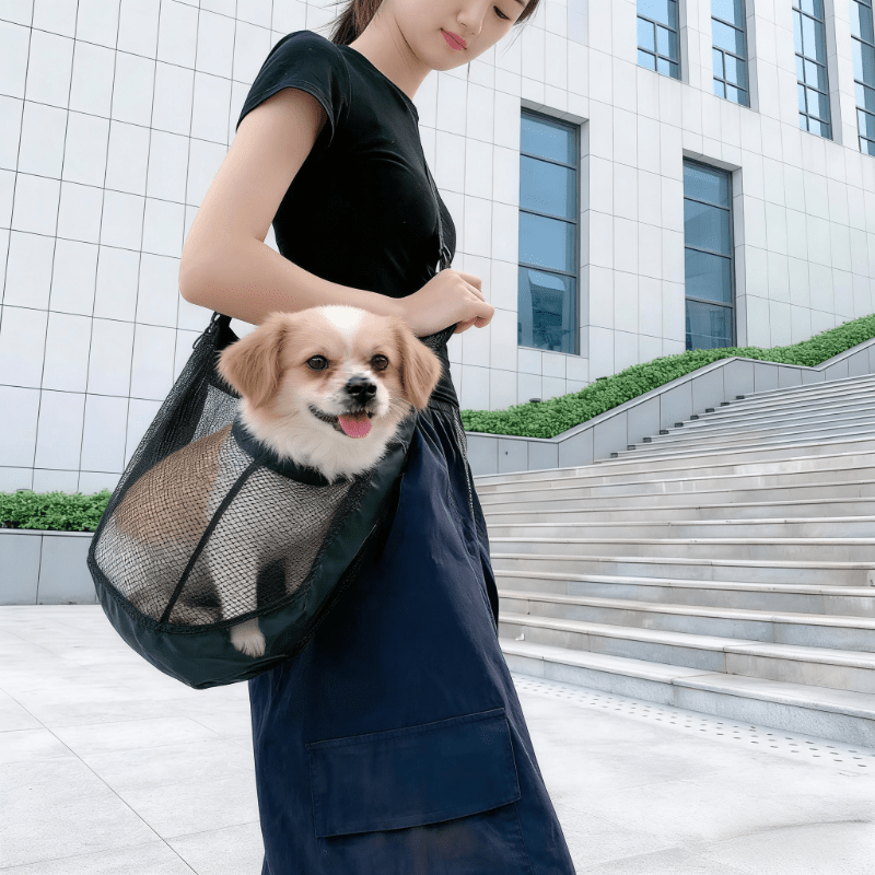 حقيبة حمل كلاب خفيفة الوزن وقا - مراجعة Travel Accessories For Dogs وسعره