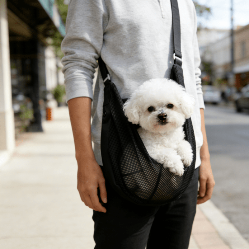 حقيبة حمل كلاب خفيفة الوزن وقا - مراجعة Travel Accessories For Dogs وسعره